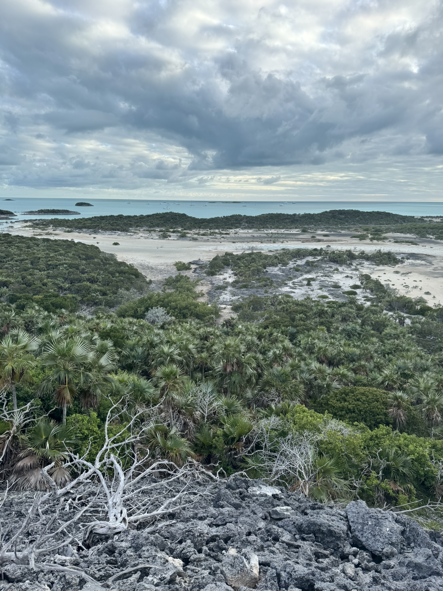 Looking down over silver palms to the anchorage beyond