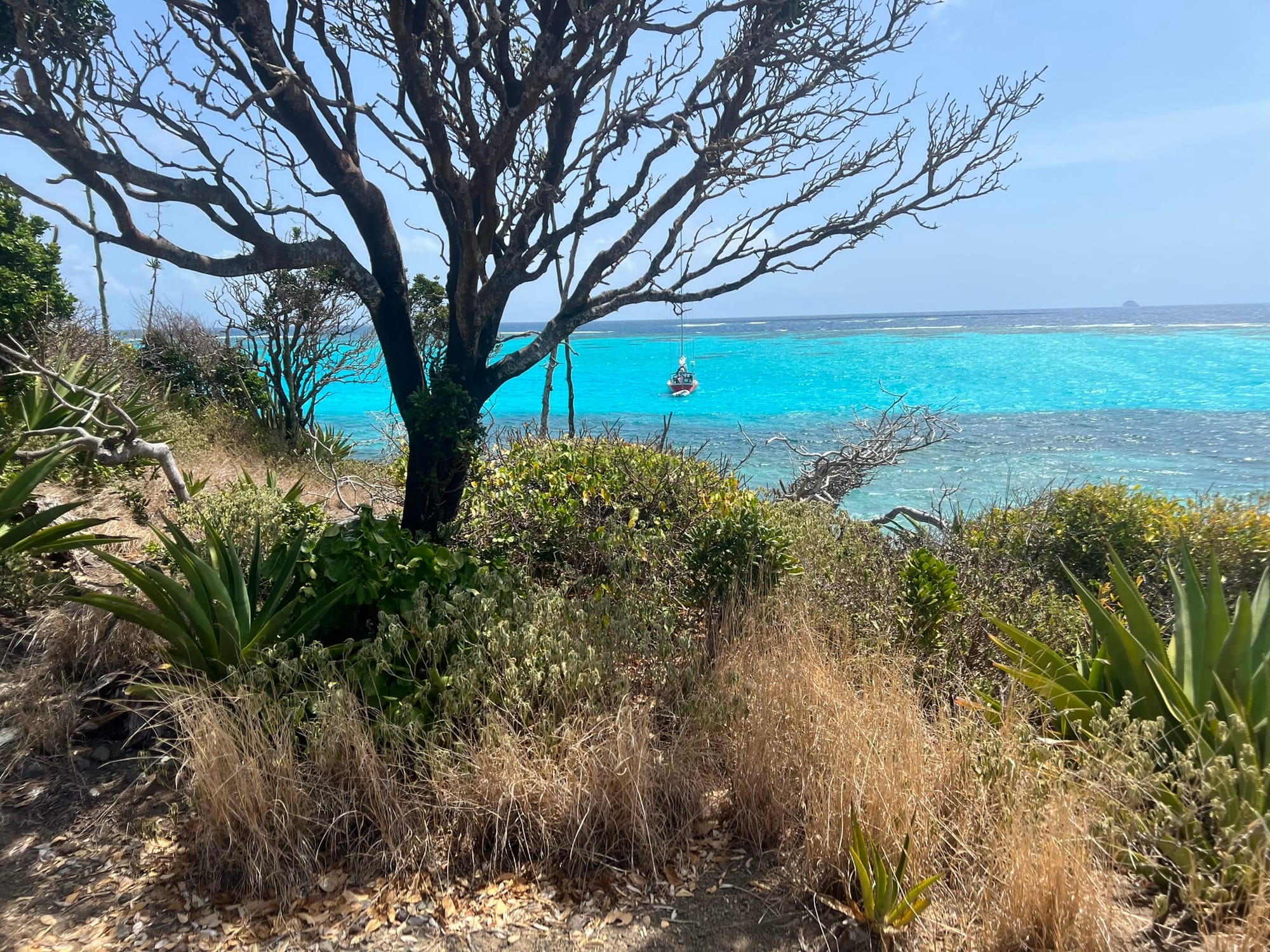Turquoise reef water in the Tobago Cays, the Grenadines